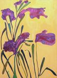 Fleurs