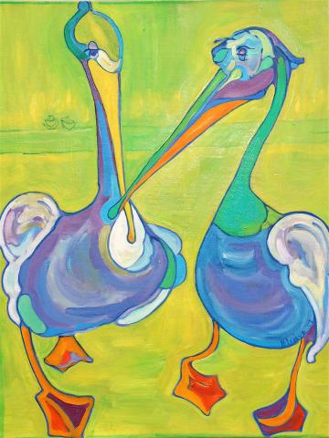 pelicans